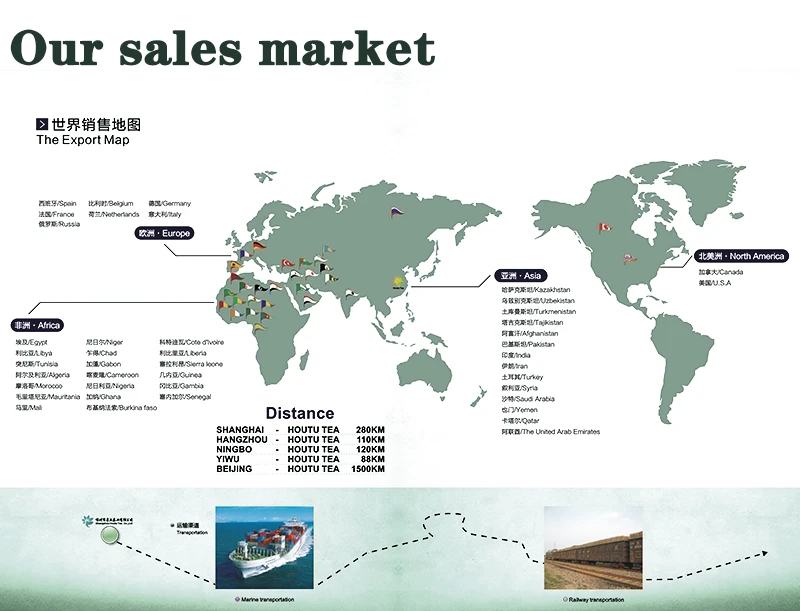 Morocco and Europe market reference for Gunpowder Green Tea 3505