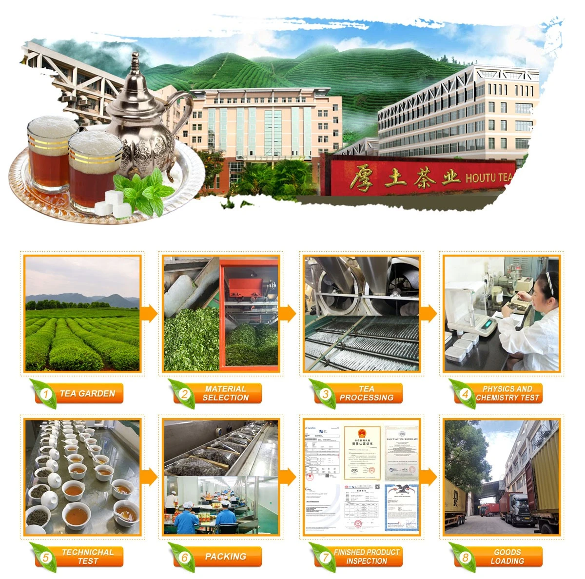 HOUTU TEA production packing inspection and loading process